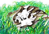 /album/%e3%83%95%e3%82%a9%e3%83%88%e3%82%ae%e3%83%a3%e3%83%a9%e3%83%aa%e3%83%bc%3a-%e3%81%ad%e3%81%93%e5%b1%8bweb%e3%80%8c%e7%ac%ac%ef%bc%94%e7%94%bb%e5%bb%8a%e3%80%8d%e7%ac%ac%e4%ba%8c%e5%9b%9e%e5%b1%95%e7%a4%ba%e3%81%ae%e7%b5%b5/%e7%9c%a0%e3%82%8a-png/