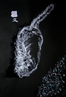 /album/%e9%bb%92%c3%97%e7%8c%ab%ef%bd%9c%e8%87%aa%e7%94%b1%e3%81%aa%e5%8b%95%e3%81%8d/a2018%e5%b9%b410%e6%9c%88-bk6-png/